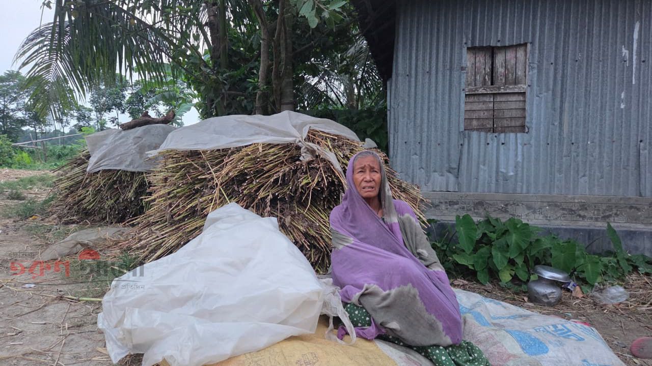 গাছতলায় আশ্রয় ৮০ বছরের বৃদ্ধ মায়ের, ছেলের ঘরে হলো না ঠাঁই