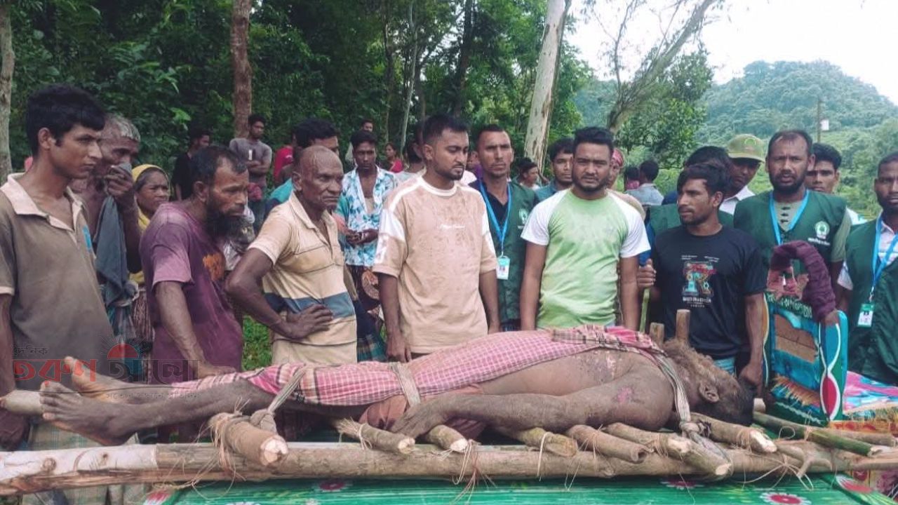 জামালপুরের বকশীগঞ্জে ভারত থেকে আসা বন্য হাতির আক্রমণে জয়নাল আবেদীন (৬৫) নামে এক ব্যক্তির মৃত্যু হয়েছে। 