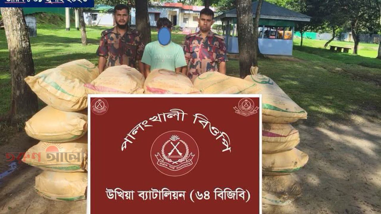 পালংখালী সীমান্তে ২০ বস্তা ইউরিয়া সার জব্দ, আটক ১