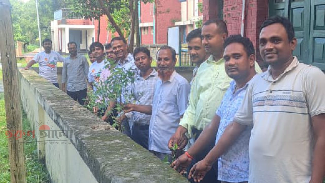 দিনের বেতনের টাকায় হরিপুর উপজেলা চত্বরে কর্মচারীদের বৃক্ষরোপণ